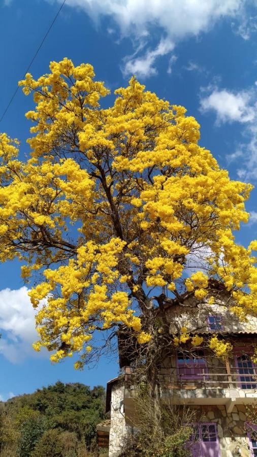 Vila Repouso Sol São Tomé das Letras Exteriér fotografie